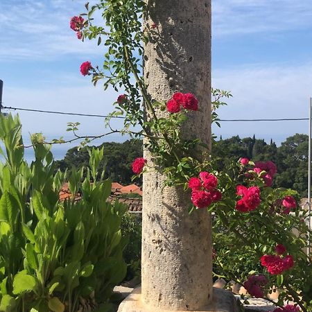 Villa Anica Dubrovnik - Luxurious With A Sea View Exterior photo