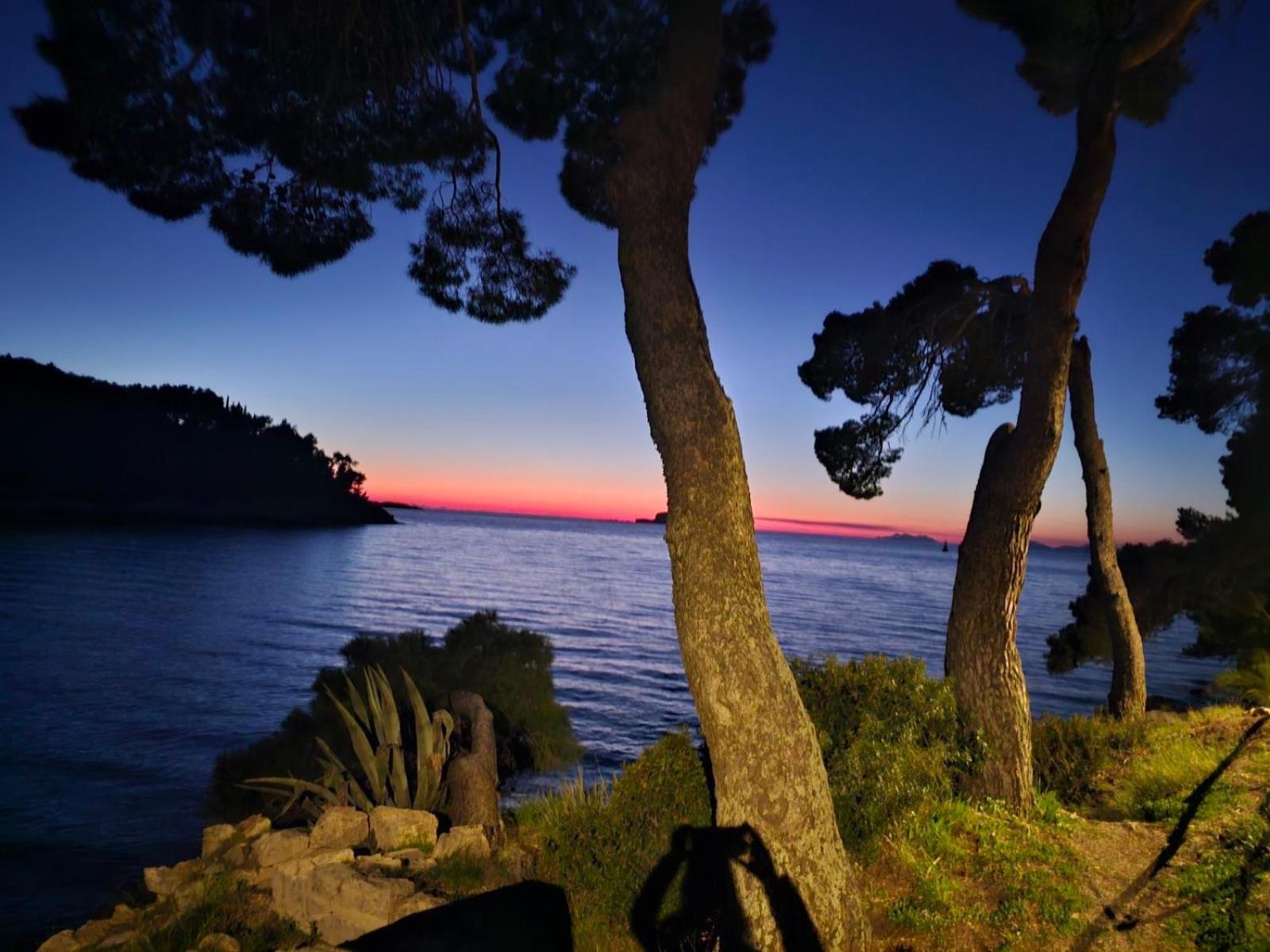 Villa Anica Dubrovnik - Luxurious With A Sea View Exterior photo