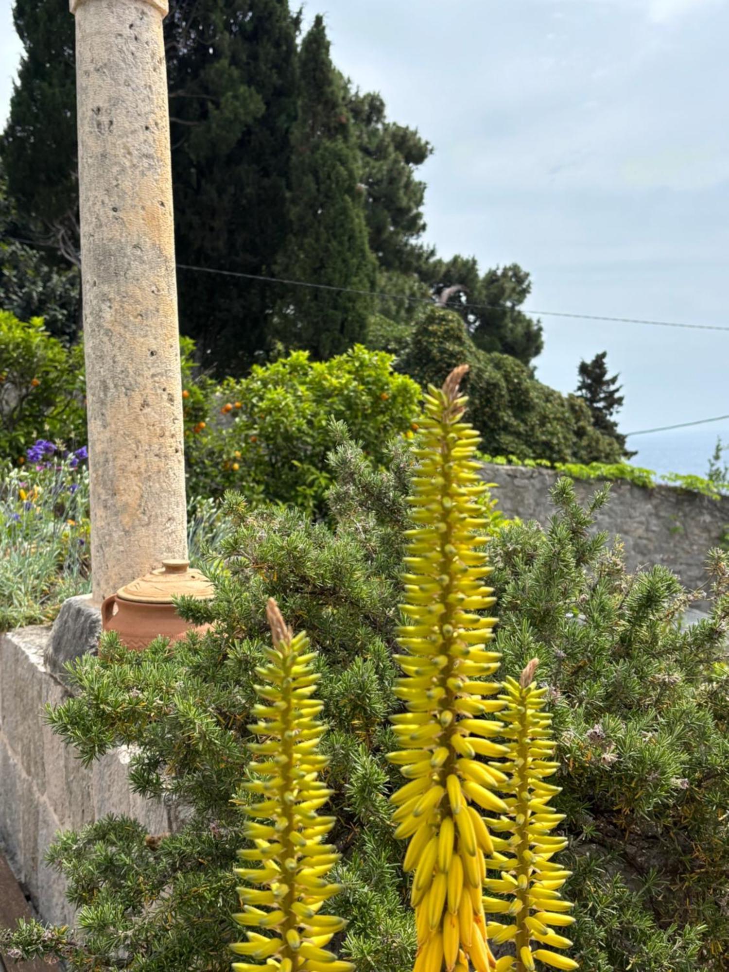 Villa Anica Dubrovnik - Luxurious With A Sea View Exterior photo